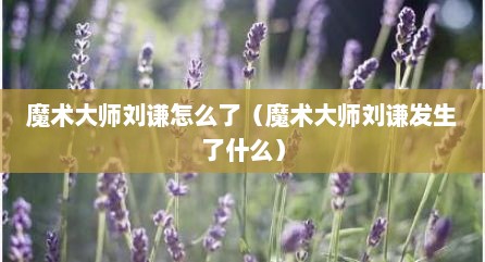 魔术大师刘谦怎么了（魔术大师刘谦发生了什么）