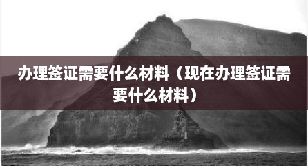 办理签证需要什么材料（现在办理签证需要什么材料）