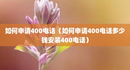 如何申请400电话（如何申请400电话多少钱安装400电话）