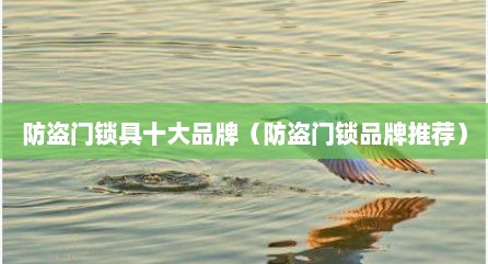 防盗门锁具十大品牌（防盗门锁品牌推荐）