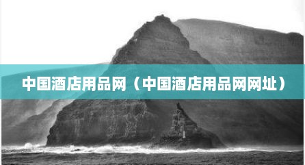 中国酒店用品网（中国酒店用品网网址）