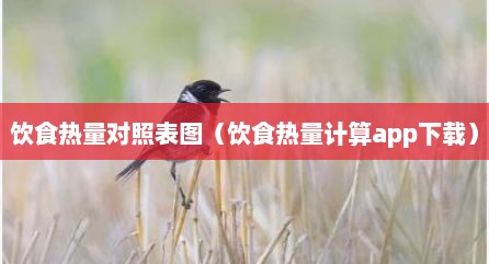 饮食热量对照表图（饮食热量计算app下载）
