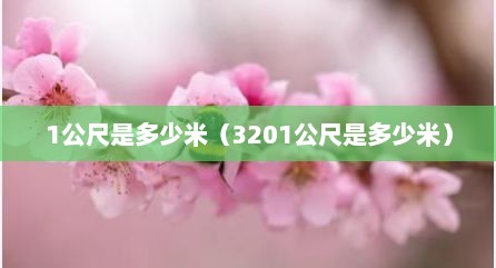 1公尺是多少米（3201公尺是多少米）