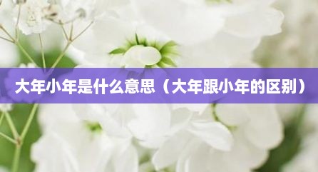 大年小年是什么意思（大年跟小年的区别）