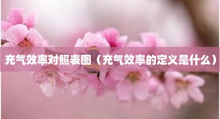 充气效率对照表图（充气效率的定义是什么）