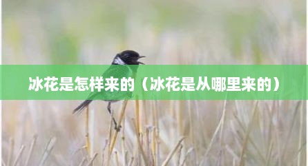 冰花是怎样来的（冰花是从哪里来的）