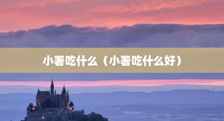 小署吃什么（小署吃什么好）