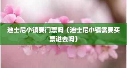 迪士尼小镇要门票吗（迪士尼小镇需要买票进去吗）