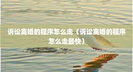 诉讼离婚的程序怎么走（诉讼离婚的程序怎么走最快）