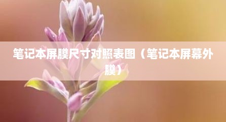 笔记本屏膜尺寸对照表图（笔记本屏幕外膜）