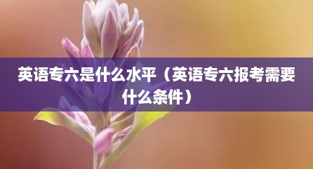 英语专六是什么水平（英语专六报考需要什么条件）