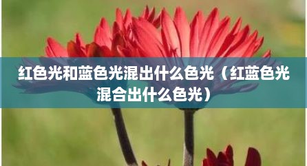 红色光和蓝色光混出什么色光（红蓝色光混合出什么色光）