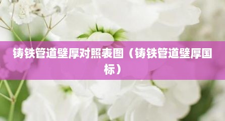 铸铁管道壁厚对照表图（铸铁管道壁厚国标）