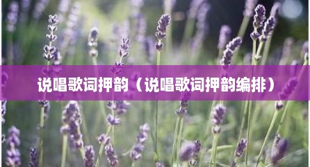 说唱歌词押韵（说唱歌词押韵编排）