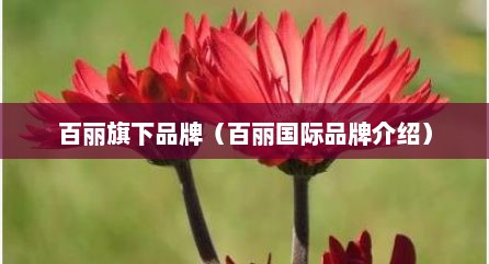 百丽旗下品牌（百丽国际品牌介绍）