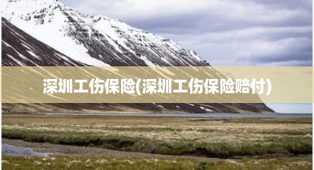 深圳工伤保险(深圳工伤保险赔付)