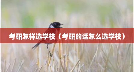 考研怎样选学校（考研的话怎么选学校）