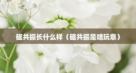 磁共振长什么样（磁共振是啥玩意）