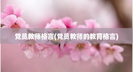 党员教师格言(党员教师的教育格言)