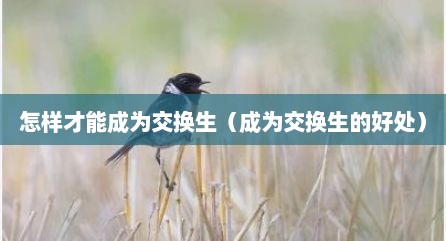 怎样才能成为交换生（成为交换生的好处）