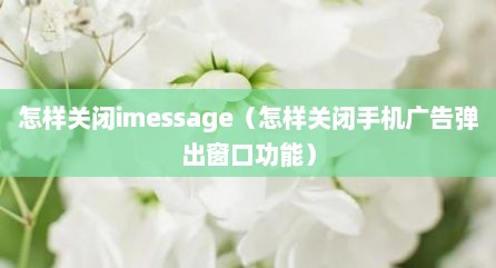 怎样关闭imessage（怎样关闭手机广告弹出窗口功能）