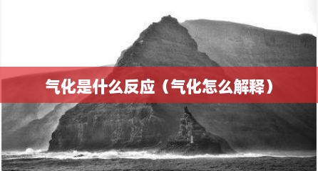 气化是什么反应（气化怎么解释）