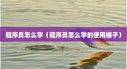 程序员怎么学（程序员怎么学的使用梯子）