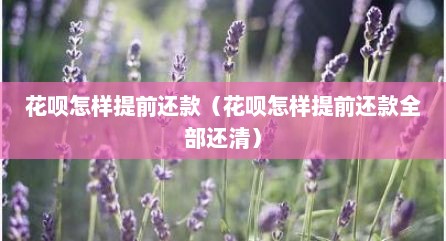 花呗怎样提前还款（花呗怎样提前还款全部还清）
