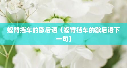 螳臂挡车的歇后语（螳臂挡车的歇后语下一句）