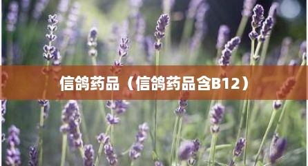 信鸽药品（信鸽药品含B12）