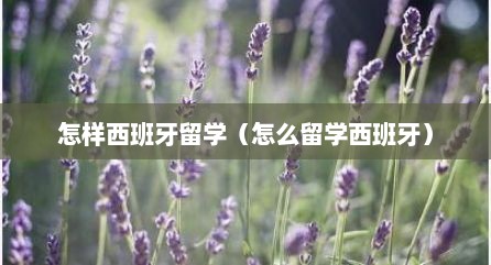 怎样西班牙留学（怎么留学西班牙）