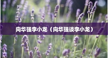 向华强李小龙（向华强谈李小龙）