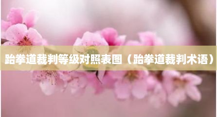 跆拳道裁判等级对照表图（跆拳道裁判术语）