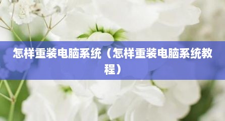 怎样重装电脑系统（怎样重装电脑系统教程）