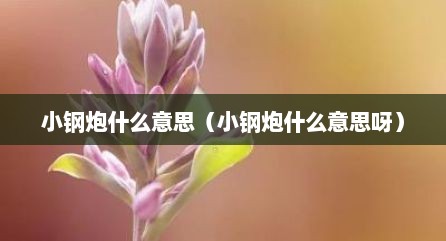 小钢炮什么意思（小钢炮什么意思呀）