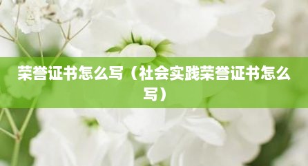 荣誉证书怎么写（社会实践荣誉证书怎么写）