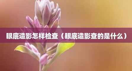 眼底造影怎样检查（眼底造影查的是什么）