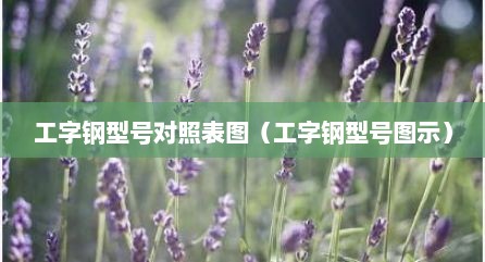 工字钢型号对照表图（工字钢型号图示）