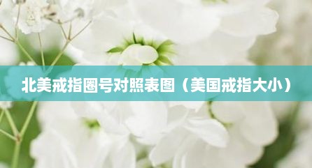北美戒指圈号对照表图（美国戒指大小）