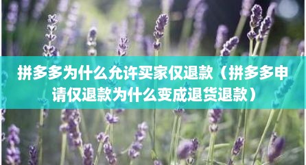 拼多多为什么允许买家仅退款（拼多多申请仅退款为什么变成退货退款）