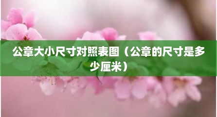 公章大小尺寸对照表图（公章的尺寸是多少厘米）
