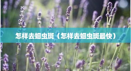 怎样去蛔虫斑（怎样去蛔虫斑最快）