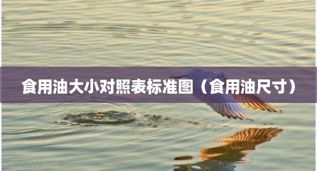 食用油大小对照表标准图（食用油尺寸）