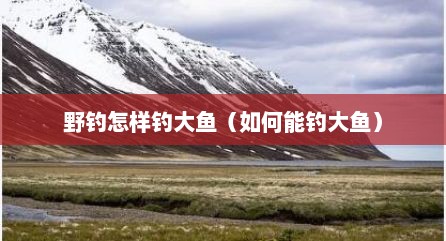 野钓怎样钓大鱼（如何能钓大鱼）