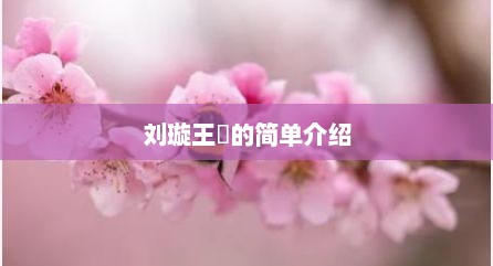 刘璇王弢的简单介绍
