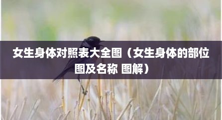 女生身体对照表大全图（女生身体的部位图及名称 图解）