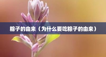 粽子的由来（为什么要吃粽子的由来）