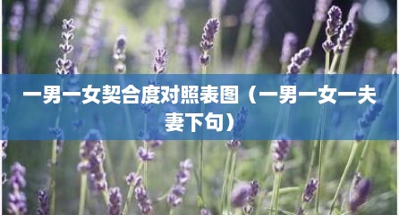 一男一女契合度对照表图（一男一女一夫妻下句）