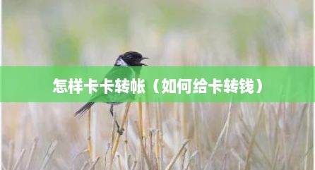 怎样卡卡转帐（如何给卡转钱）