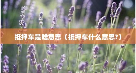 抵押车是啥意思（抵押车什么意思?）